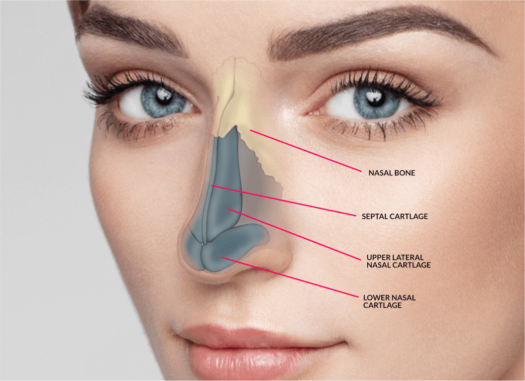 Best Rhinoplasty Surgery in Mumbai by Dr Debraj Shome at The Esthetic Clinics